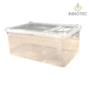 Hộp Nuôi Sâu Bọ 10 Hộp Nuôi Sâu Bọ