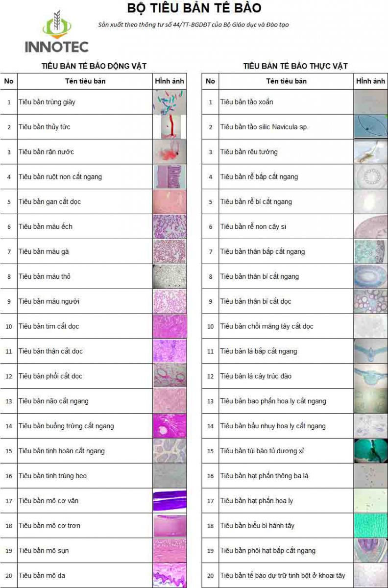 Bo20Tieu20Ban20Te20Bao201 Bo20Tieu20Ban20Te20Bao201